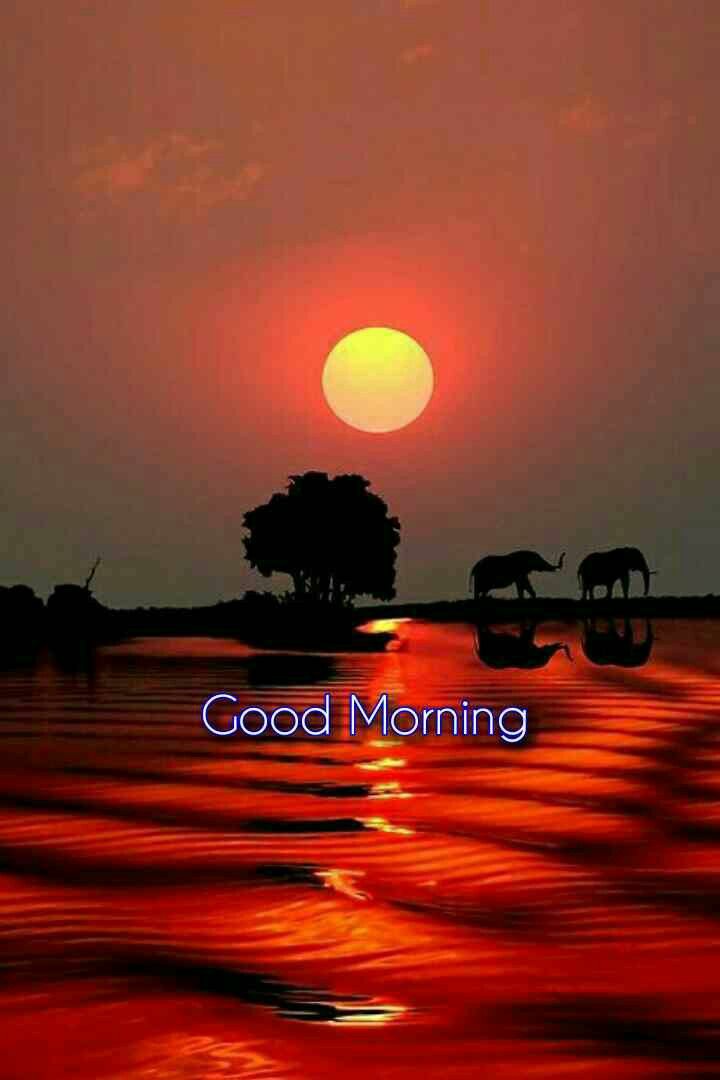 BBAgarwal6's tweet photo. https://t.co/INTFxk4ZRm /d/1McgLzOrZx0c3cuBF3_IesQ3p5Zy9fhbw_tgHV1DU1Nc/viewform?edit_requested=true https://t.co/RxGn0IX6eV