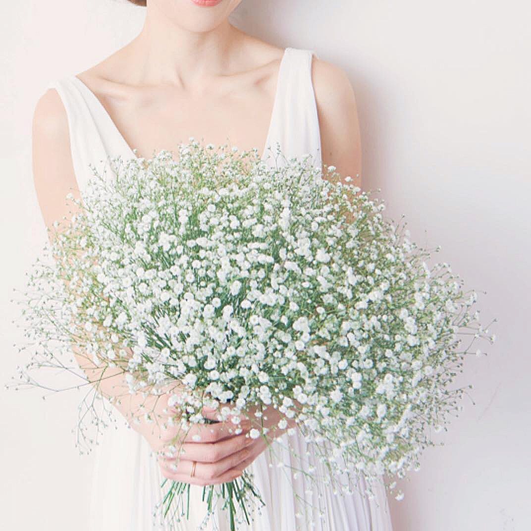 hanapla's tweet photo. ㅤ
一種類の���花で作った
ㅤ
おしゃれブーケ！！
ㅤ
#結婚式 #人気 #プレ花嫁 
#ウェディング  #ブーケ #花 
#花が好き #花写真 
#wedding #photo #flower 
#キリトリセカイ
#写真好きな人と繫がりたい 
#写真で伝える私の世界 
#カメラ好きな人と繋がりたい 
#ファインダー越しの私の世界 
ㅤ https://t.co/amTVrtU9g4