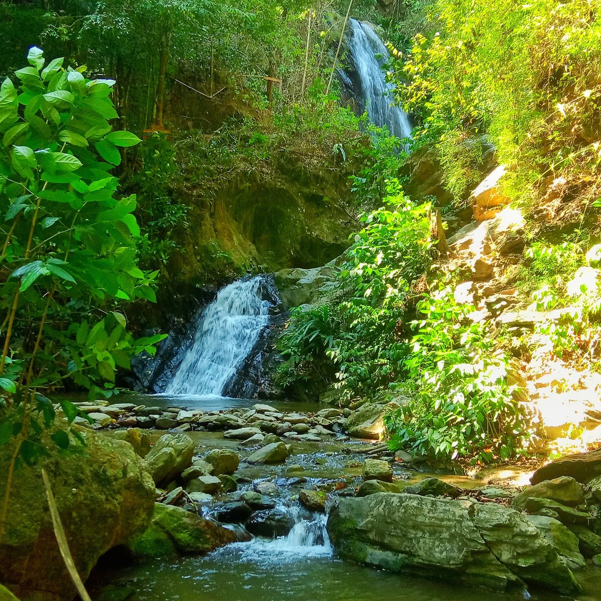 SanJoaquinCity's tweet photo. Las maravillosas cascadas de nuestro Cerro El Aguacate🥑
.
Todo un espectáculo natural que vale la pesa visitar y conocer.
.
Te has bañado en estas heladas aguas? 🥶
COMENTA 
⬇️⬇️⬇️
.
#QuedateEnCasa  #Covid19 #TierraDePastoresYPanelas #SanJoaquin #Carabobo #CerroElAguacate https://t.co/I1SeG06lPA