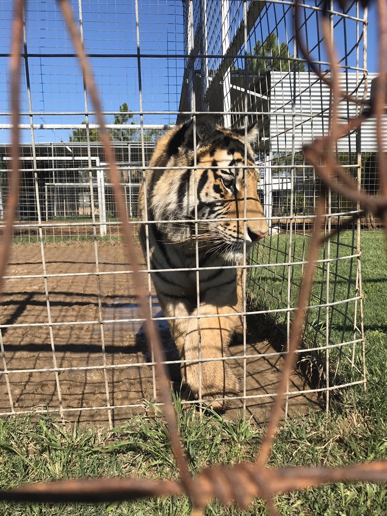 I mean, if it’s on the way, we might as well go...🤷‍♀️🙊