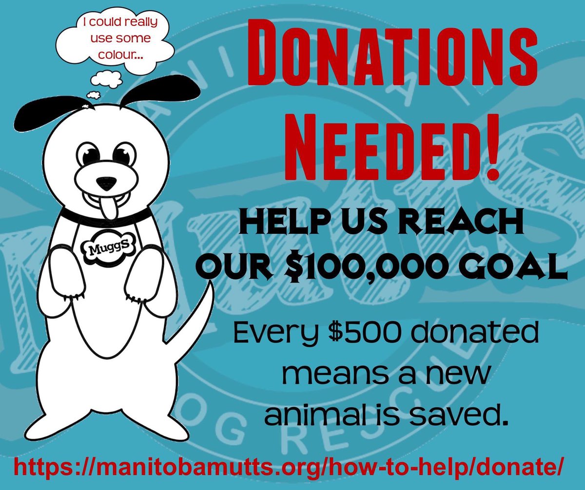 ManitobaMutts's tweet image. 
