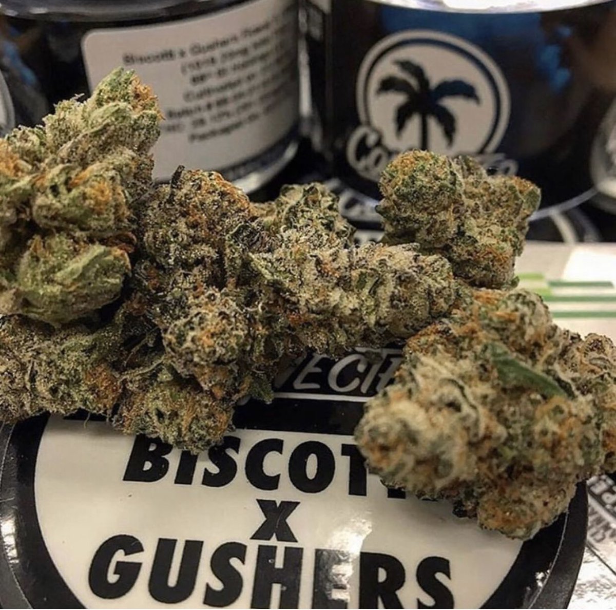 WireWhite's tweet image. 