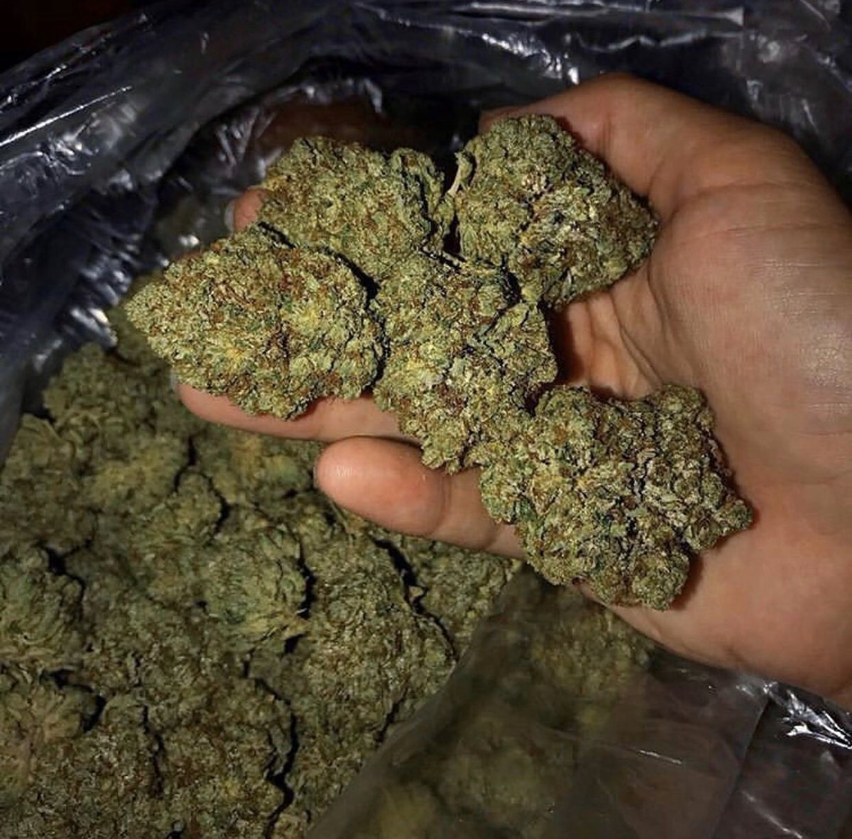 WireWhite's tweet image. 