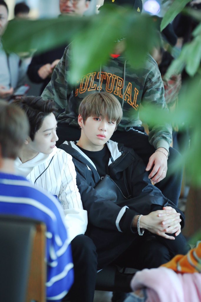 hourlydaniel's tweet photo. 🌿
#KANGDANIEL #강다니엘 
#คังแดเนียล #カンダニエル  
#姜丹尼尔 @konnect_danielk https://t.co/02S14GZ6IV