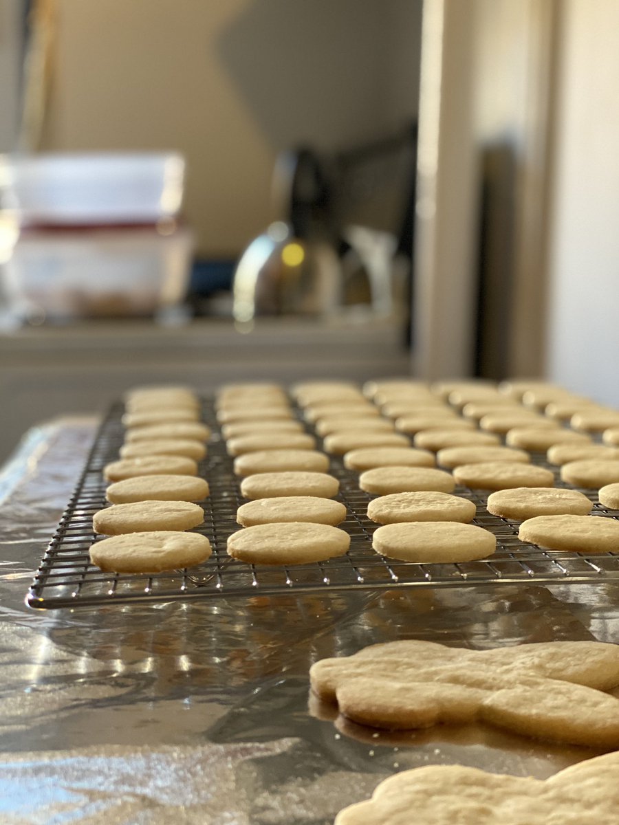 carolinejoans's tweet photo. I call it baking yoga - all of the meditative properties, none of the ab work. #baking #quiettbakes #icedsugarcookies #bakingyoga #repetition #icingfordays https://t.co/WfDhKtHxVa