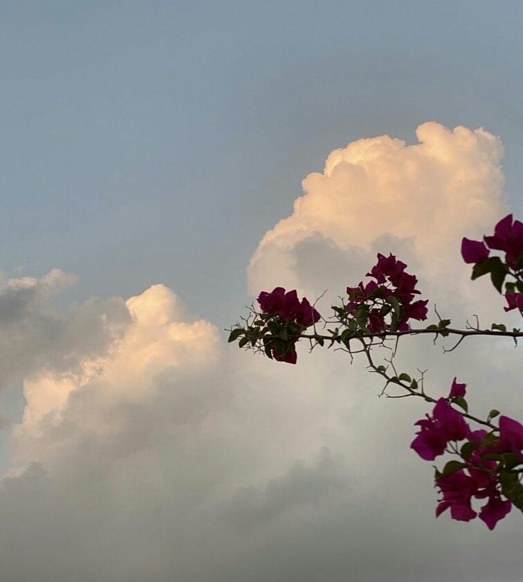 _ هل أنت بخير ... !
_ بعدك لستُ بخير
_ مابك ..!
_ تصبح على خير