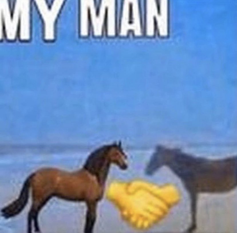 reactions on X: horse at beach and emoji horse shaking hands my