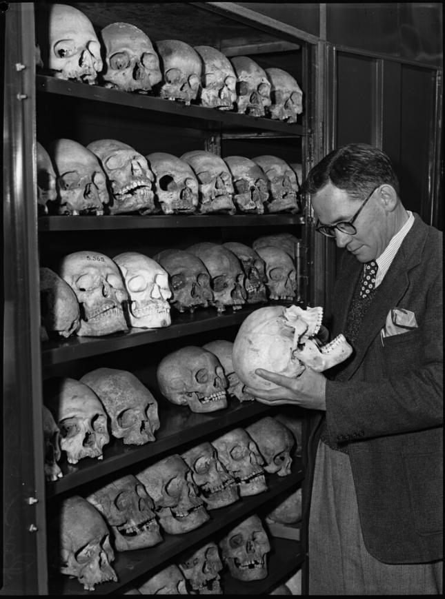 statelibrarynsw's tweet photo. Sharing a blast from the past for #InternationalMuseumDay! These curious ’backstage’ museum photos were taken in 1950 for a story in #PixMagazine.
View the album: https://t.co/MQGLYjqVdV https://t.co/ZhL1SHastc