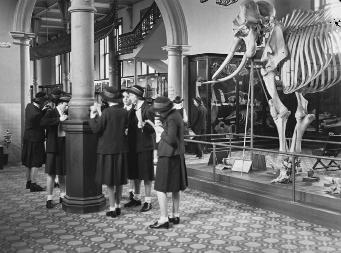 statelibrarynsw's tweet photo. Sharing a blast from the past for #InternationalMuseumDay! These curious ’backstage’ museum photos were taken in 1950 for a story in #PixMagazine.
View the album: https://t.co/MQGLYjqVdV https://t.co/ZhL1SHastc