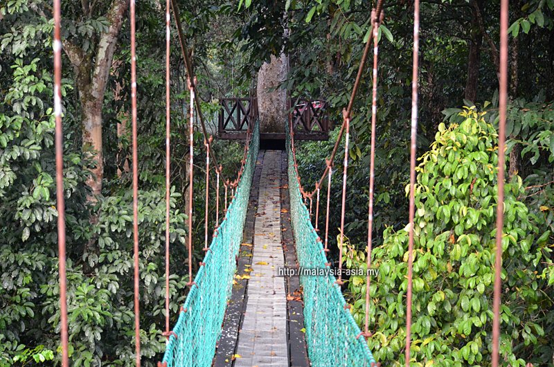visitmy2020's tweet photo. RT MalaysiaAsia: Maliau Basin is known as the Lost World of #Sabah, and this is the Maliau Sky Walk. Highly recommended for outdoor and nature lovers. #MalaysiaTrulyAsia #VisitMalaysia #VisitSabah #Malaysia #borneo #maliaubasin https://t.co/LbhLb3dSa0 #natgeo #instatravel #igtr…