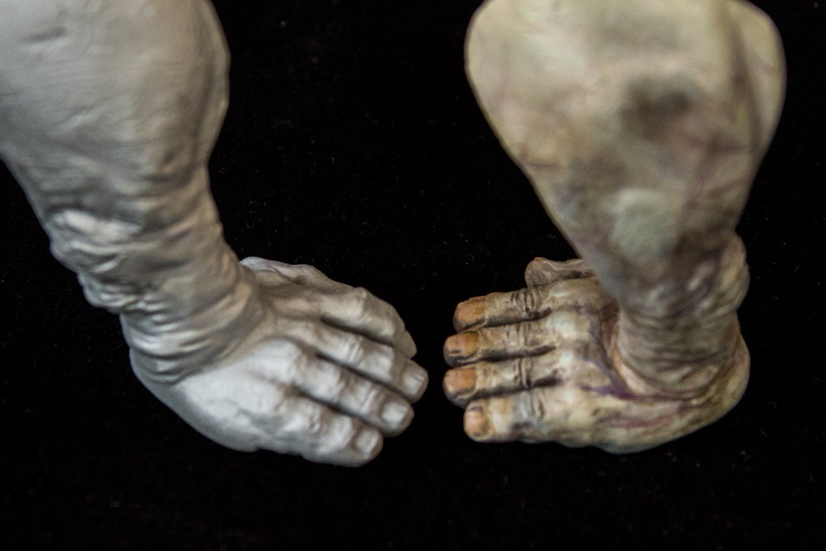 miinisheep's tweet photo. I can see your souls
#Gorm #kingdomdeathmonster #KingdomDeath #beforeandafter #miniature #miniaturepainting #paitingminiature #paintinghands #paintedhands https://t.co/IBpBmHGH5p
