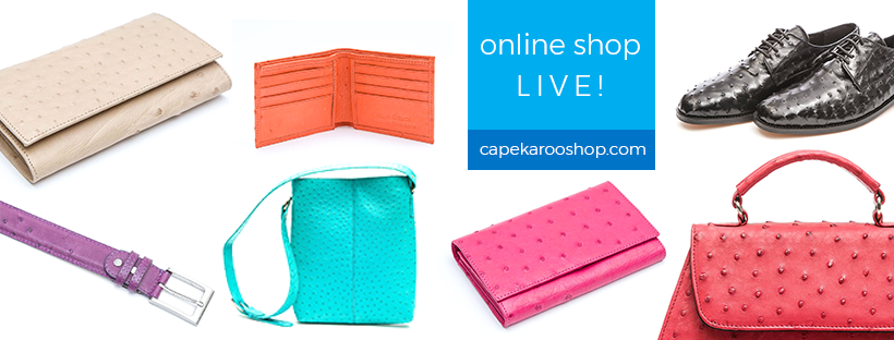Life isn’t perfect, but your accessories can be...

capekarooshop.com
