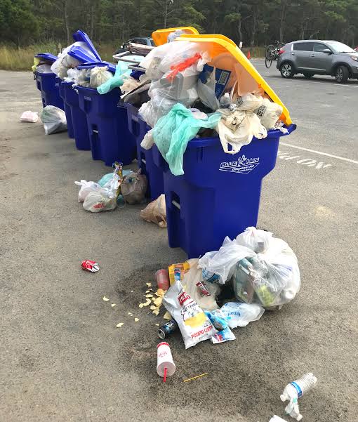 rich jensoo ✨ tweet media