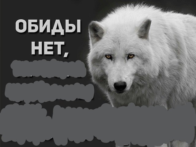 Ваша собака кусается мем. Ну вот и все, - сделали? - нет, сломал. Скотч превращает нет в ммм. Ну вот и все. Мем да да да нет нет нет.
