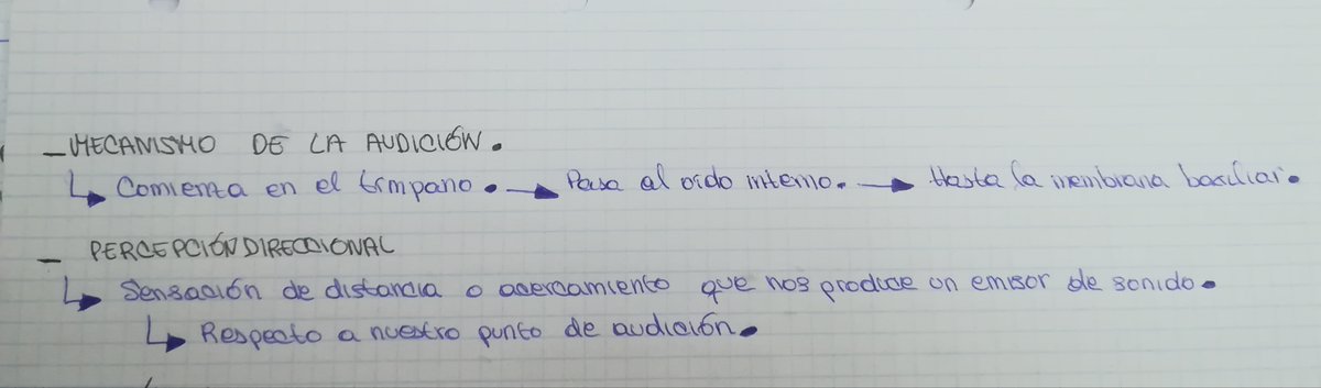 LaFernweh's tweet photo. Bloque 1 #CUAVDOSapuntesEVAU #CUAVBACH02 @LaAguadera https://t.co/K325FxmFVH
