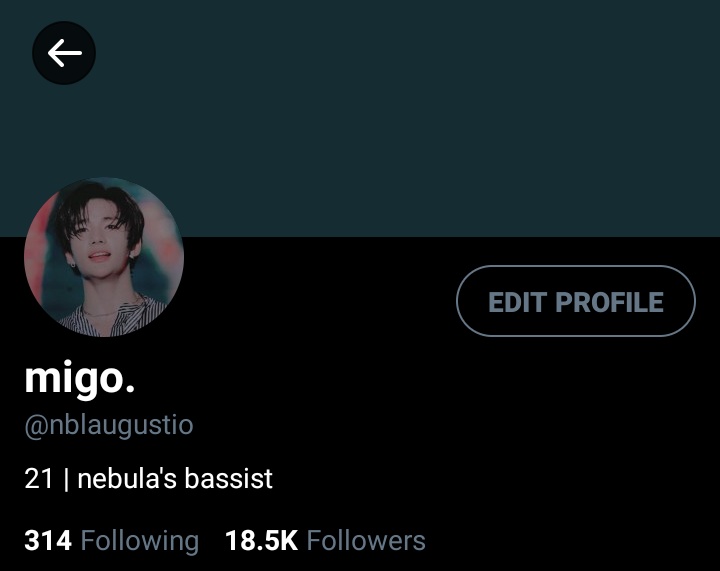 °˖✧◝✧˖° ⠀‍⠀‍– 𝗺𝗶𝗴𝘂𝗲𝗹 𝗮𝘂𝗴𝘂𝘀𝘁𝗶𝗼 𝗮𝗾𝘂𝗶𝗻𝗼 ↻ famous band member. ↻ nebula's bassist, but can also play the keyboard and drums. ↻ looks like a tsundere but is actually a softie to his friends.