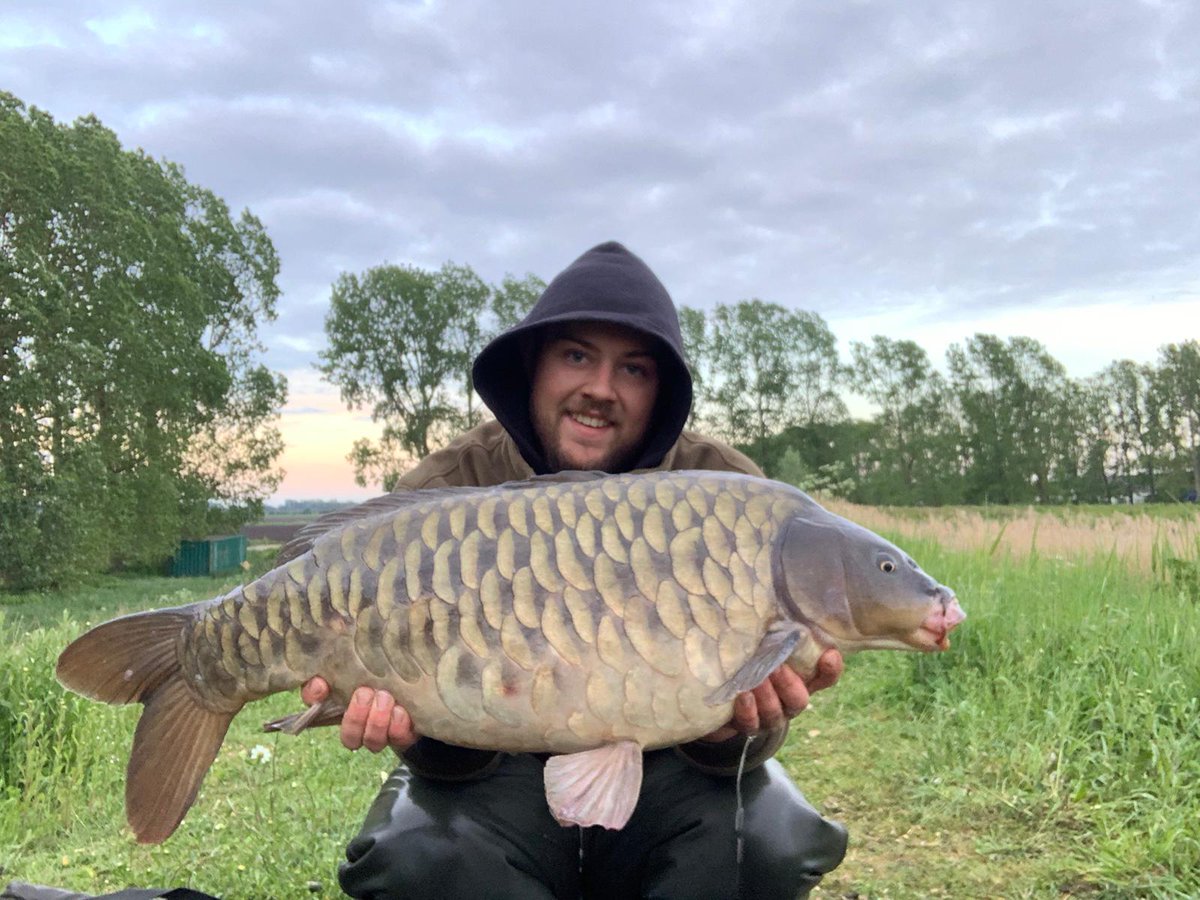 incrediblebaits's tweet image. Connor wasted no time in getting on the fish. White id3 wafter in a solid bag with crushed id3 fished at range to a plato. 

#incrediblebaits #carp #carpfishing #fishing #carpy #carplife #karpfen #fish #angling #carpangler #nature #carpangling #carpe #commoncarp