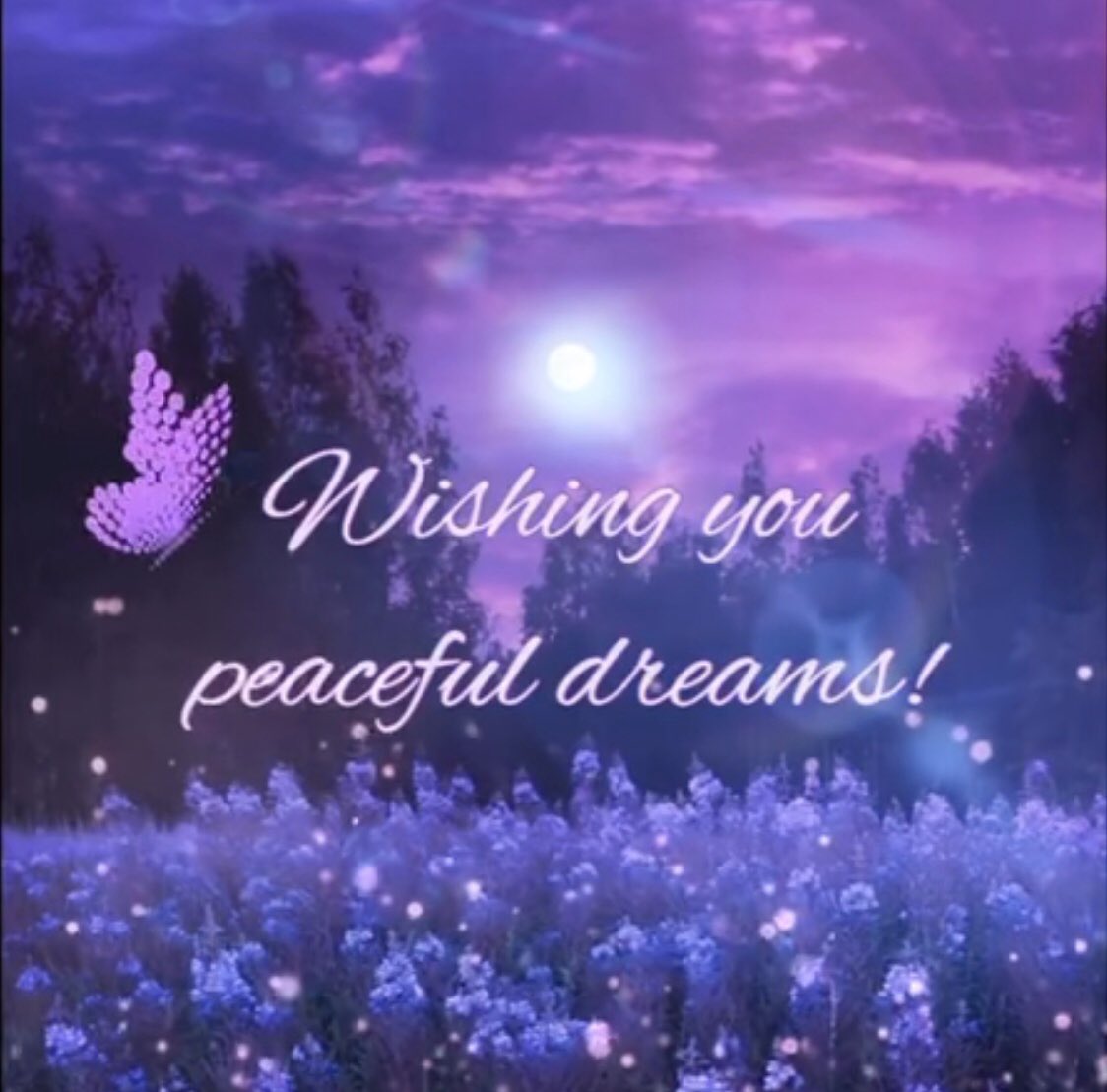 10butterflys's tweet photo. To all my Twitter Family &amp; Friends. We as a whole are going through some very difficult times.....it can be pretty stressful to some. #HaveaBlessedEvening #StaySaveStayHealthy https://t.co/u3ruIi9XkA
