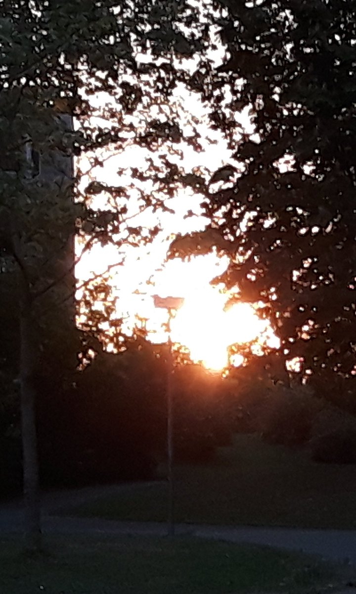 SunsetPics__'s tweet photo. https://t.co/UGp4Mlh2lX