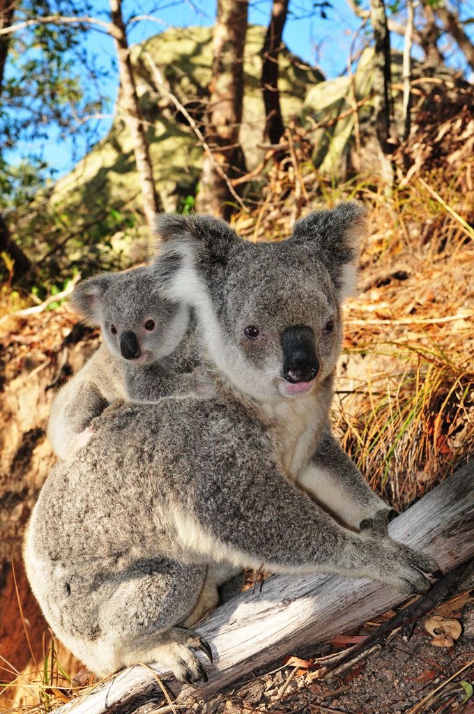 Sunday, May 17th, 2020