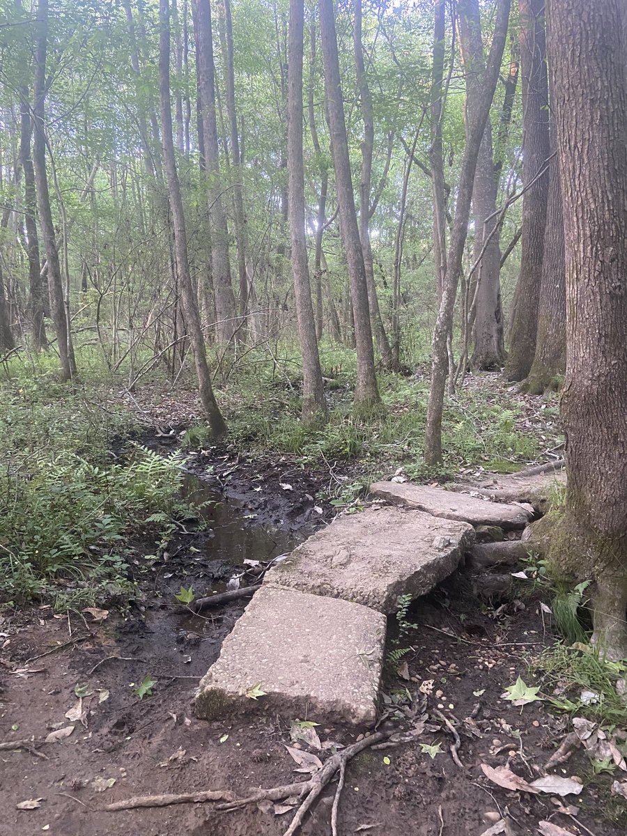 PHearing's tweet photo. #Ttown5kyourway -perfect place to run a 5k  Sokol Park  35:42 https://t.co/gTOky3GT4x