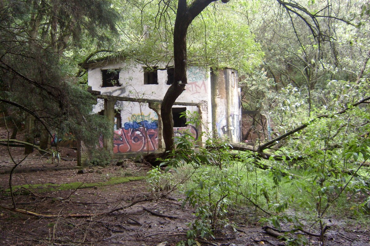 MigueCobian's tweet photo. ABRO HILO (#paranormal)

Escondidas en un bosque de la Ciudad de México #CDMX  hay una casas abandonadas que los "vecinos" conocen como las Casas Gemelas https://t.co/6JWROnvdgw