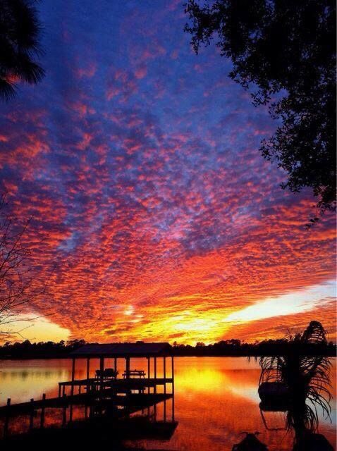 WeShallRise144K's tweet photo. 5th Dimensional Sunset #RadionicShips #RadionicClouds #5D #HeavenlyHost #WatchTheSkies https://t.co/Ir7XaYHJoK https://t.co/7AIwN5CKDs