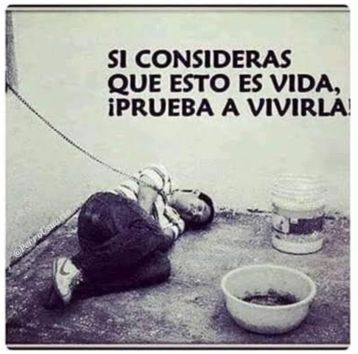 ¿Cómo te sentirías si tuvieras que vivir así? Seguro que no te gustaría… Entonces, ¿por qué lo haces con un ser inocente que sólo busca tu cariño?