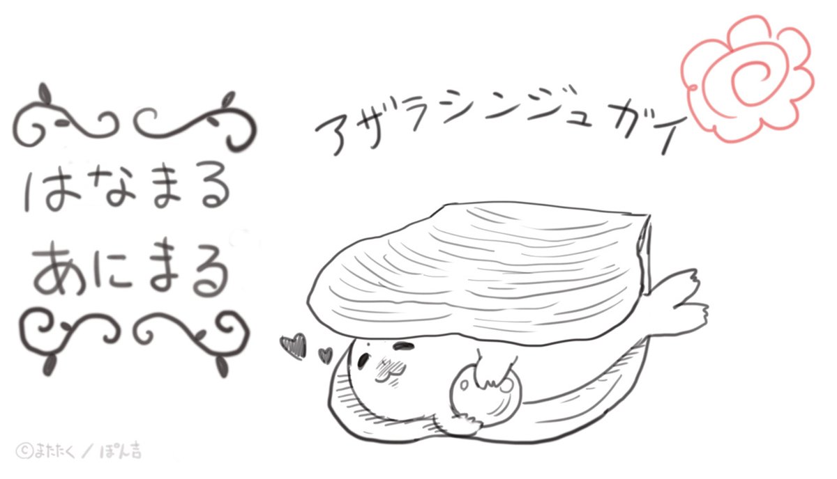 アザラシンジュガイ 