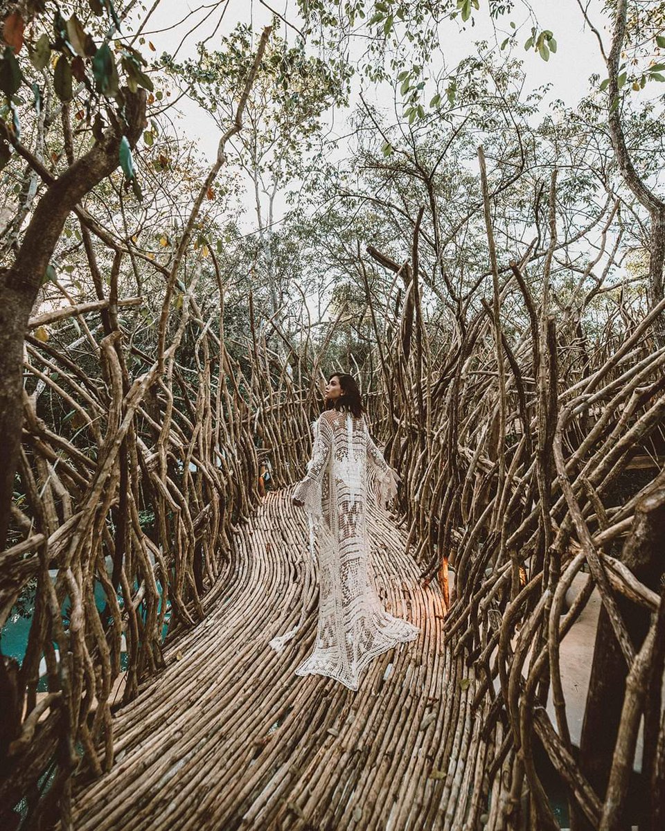 Shikobatours's tweet photo. Sabes que este hotel se encuentra en México, está belleza está ubicada dentro de Tulum México, se llama AZULIK tiene una conexión con la naturaleza y su decoración.
#yoviajoconshikoba #azulik #Azuliktulum #viajerosxelmundo #viajeros #traveller #tulum #tulummagico #visitMéxico https://t.co/225iV5w4Ps
