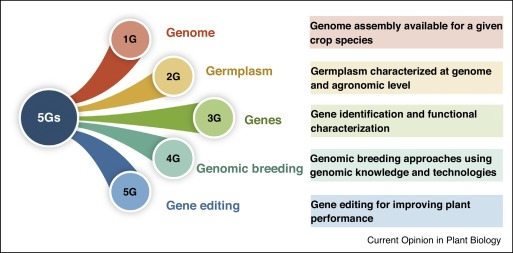 rishityag's tweet photo. 5Gs #Genome #Germplasm #Genomics #Gene #GenomicBreeding #GeneEditing will contribute significantly in achieving @SDGoals.
A very informative and 'looking forward' talk by @rajvarshney of @ICRISAT
Access 5Gs talk: https://t.co/KD8wUtPEGc
Access paper: https://t.co/4AdMpmlVeb https://t.co/YCG1wN2p6b