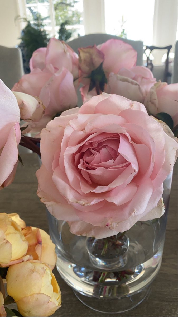 Because they are perfectly flawed.