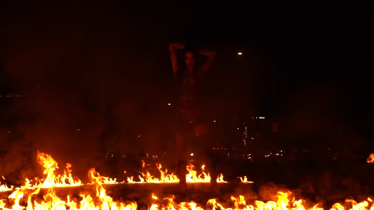 The Art of Survival ~ May 29th 🌹