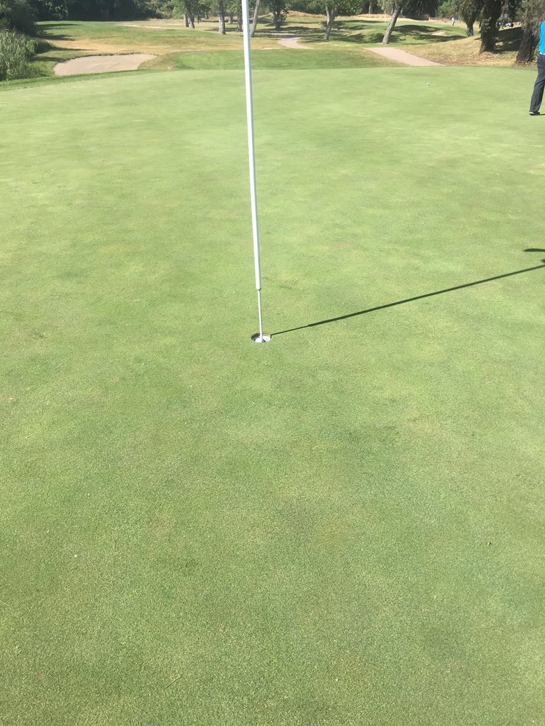 minhdnguyen's tweet photo. I hit my first ever Hole-In-One today 😃
Par 3 #17 @CarltonOaksGolf, slightly elevated green with a back right pin ⛳️ playing 140 into a right to left wind 💨
Cut CallawayGolf #Apex19 8i with a #ChromeSoftX #TripleTrack golf ball 🤩 https://t.co/9s2adbOefk
