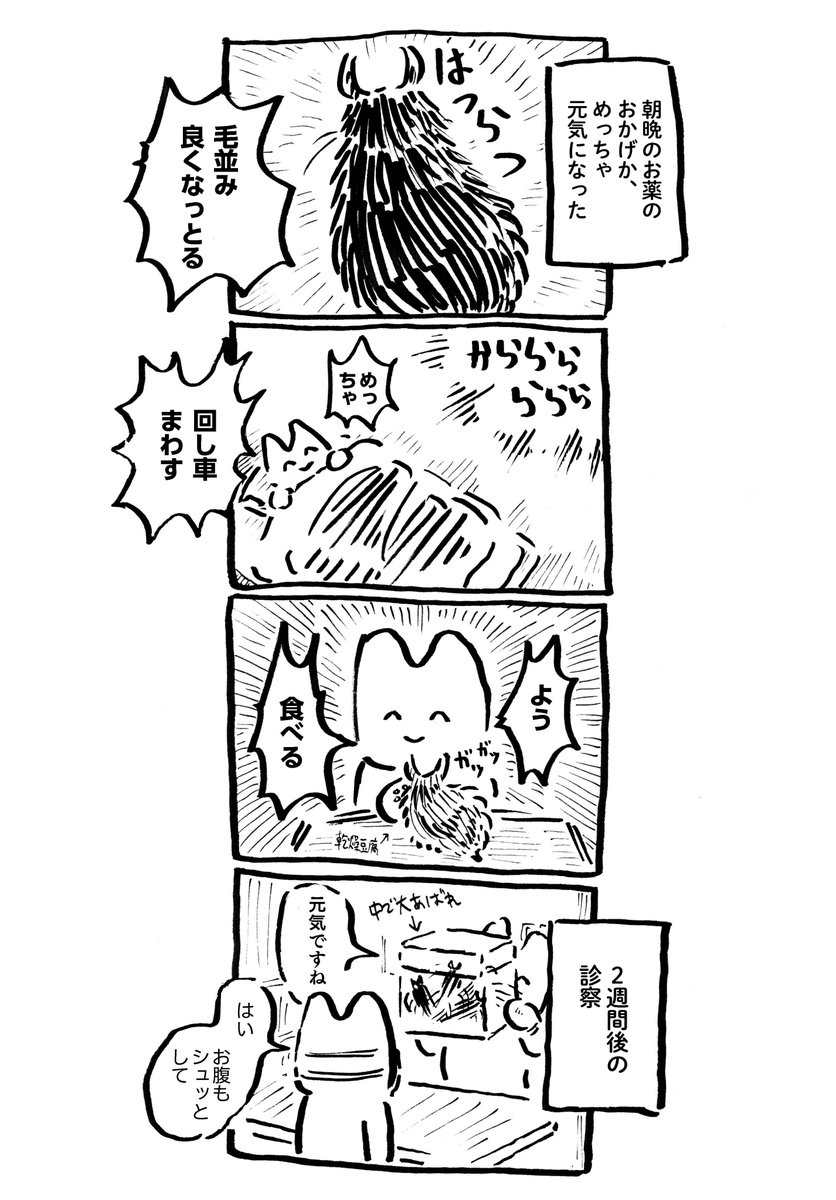 うにさんと私63  #うにさんと私 #創作漫画 #エッセイ漫画 