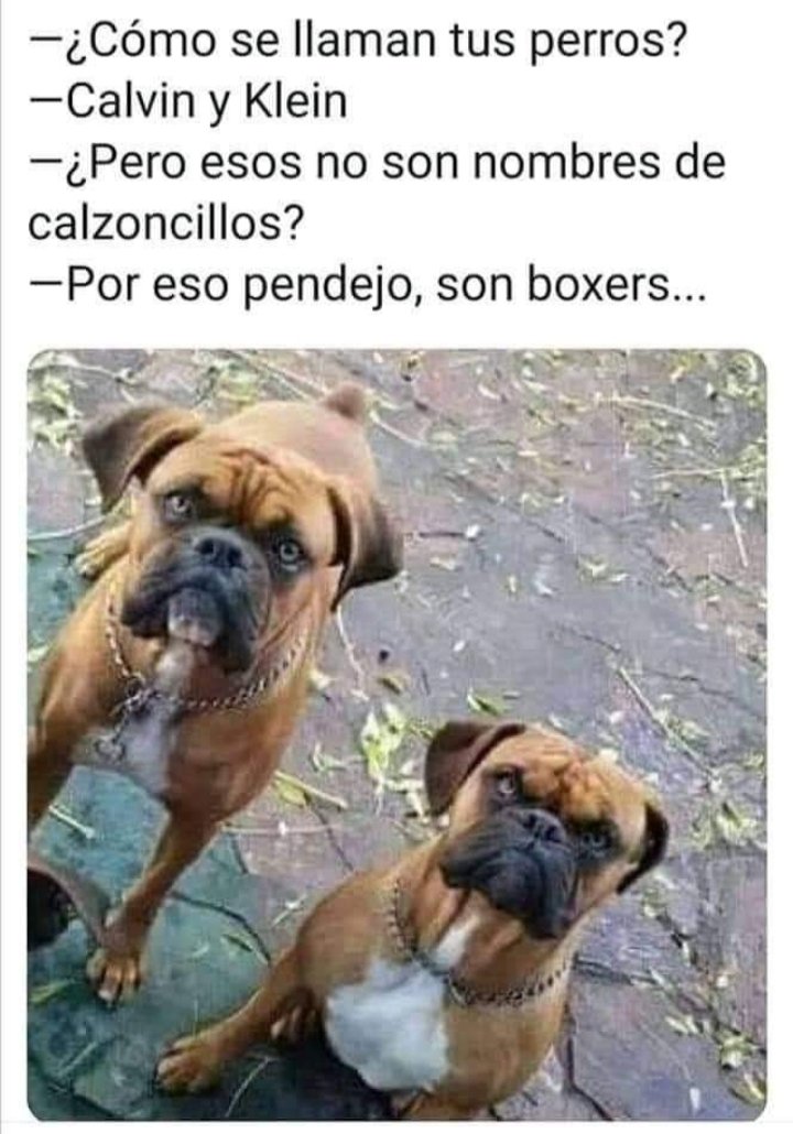 samguol's tweet photo. @_Donnie_D  ♥️ me acordé de tus boxers, ahí te encargo esos nombres 😅 https://t.co/bUjYZANxyL
