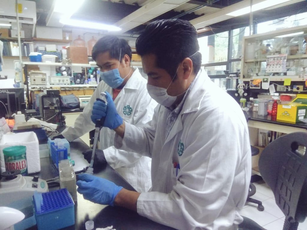 ElenaBuylla's tweet photo. Desde el Conacyt articulamos y concretamos acciones de HCTI que, en coordinación con el @GobiernoMX de la 4T y otros sectores, ayuden a salvar miles de vidas durante la pandemia de #COVID19 en México.

#LaFuerzaDeLaCiencia 
#CienciaPorMéxico https://t.co/IMUBqSO3tb