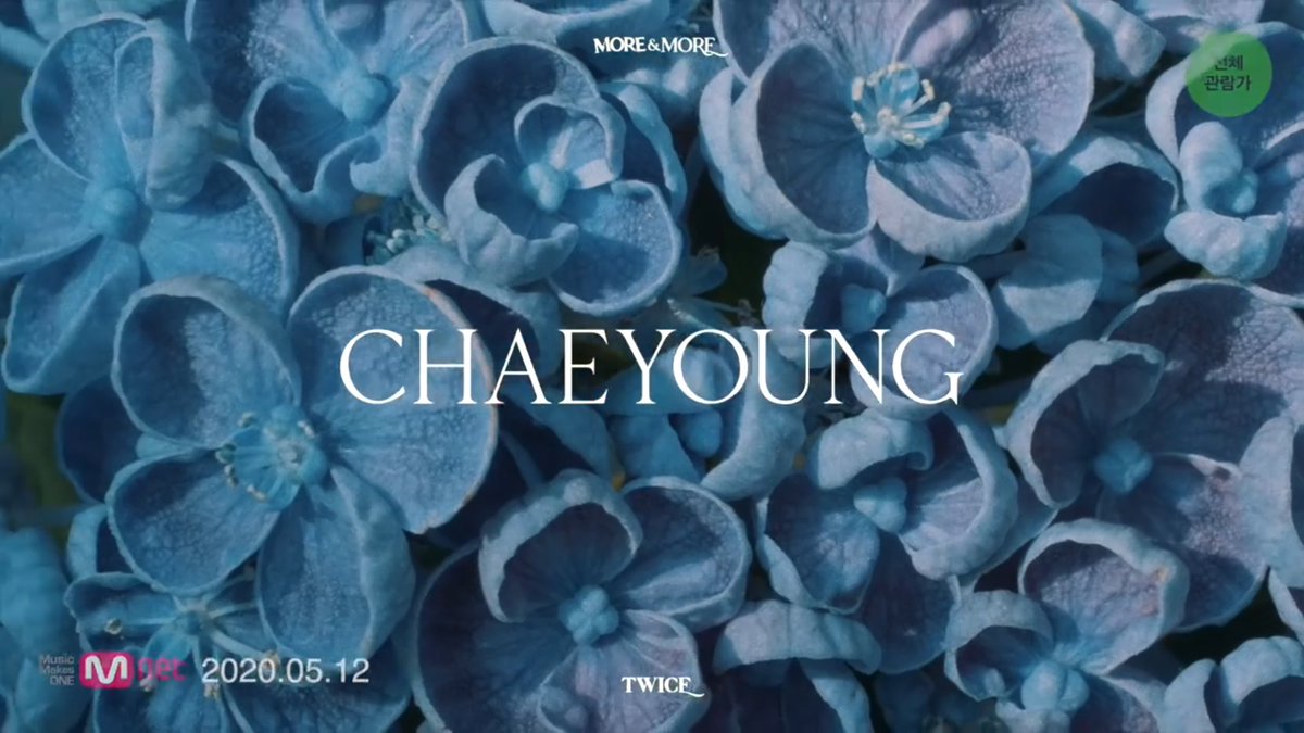 Hydrangea Mocrophylla(Chaeyoung) @JYPETWICE -Associated with gratitude and apology-Native to Japan-Grow during rainy spring-Term Macrophylla means large or long leaves #MOREandMORE  #TWICE  #트와이스