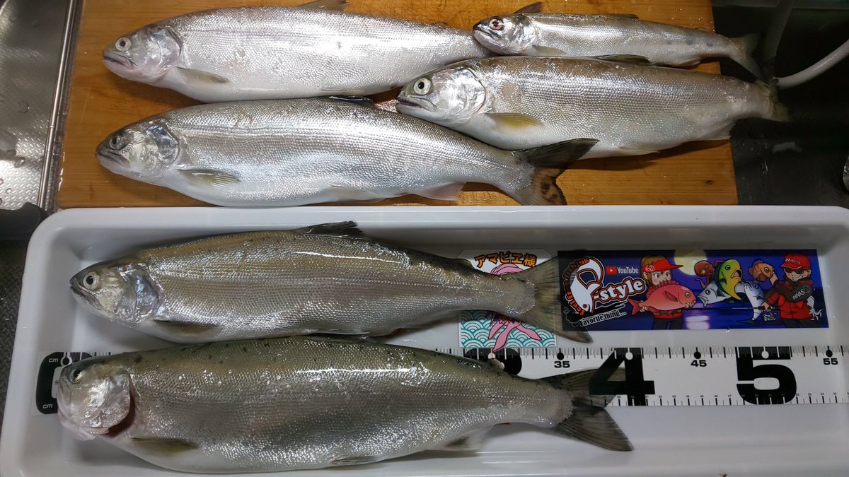 naka3286's tweet photo. さっきはInstagramで写真が途切れてしまったのでコチラはコチラで(・ิω・ิ)
#釣り
#fishing
#琵琶湖
#ビワマス
#ミニボート
#ポータボート
#DF6A
#備忘録
#密どころか接触すらせず
#夫婦で沖に2人きり
#徐々に自粛解除していきます
#コメントいいねお気遣いなく https://t.co/00dEBHf5VC