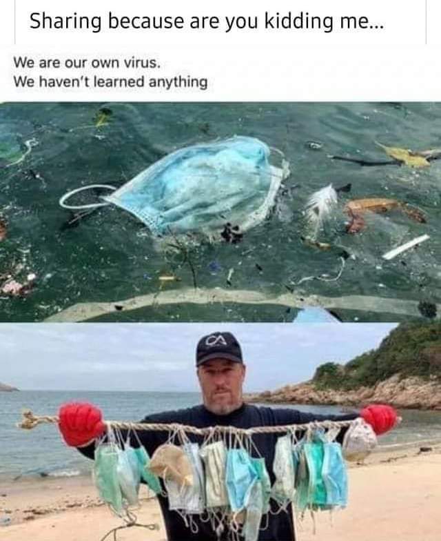 Oceaaanuss's tweet photo. Humans, when will you all ever learn?💭 https://t.co/5bC6rLJUzY