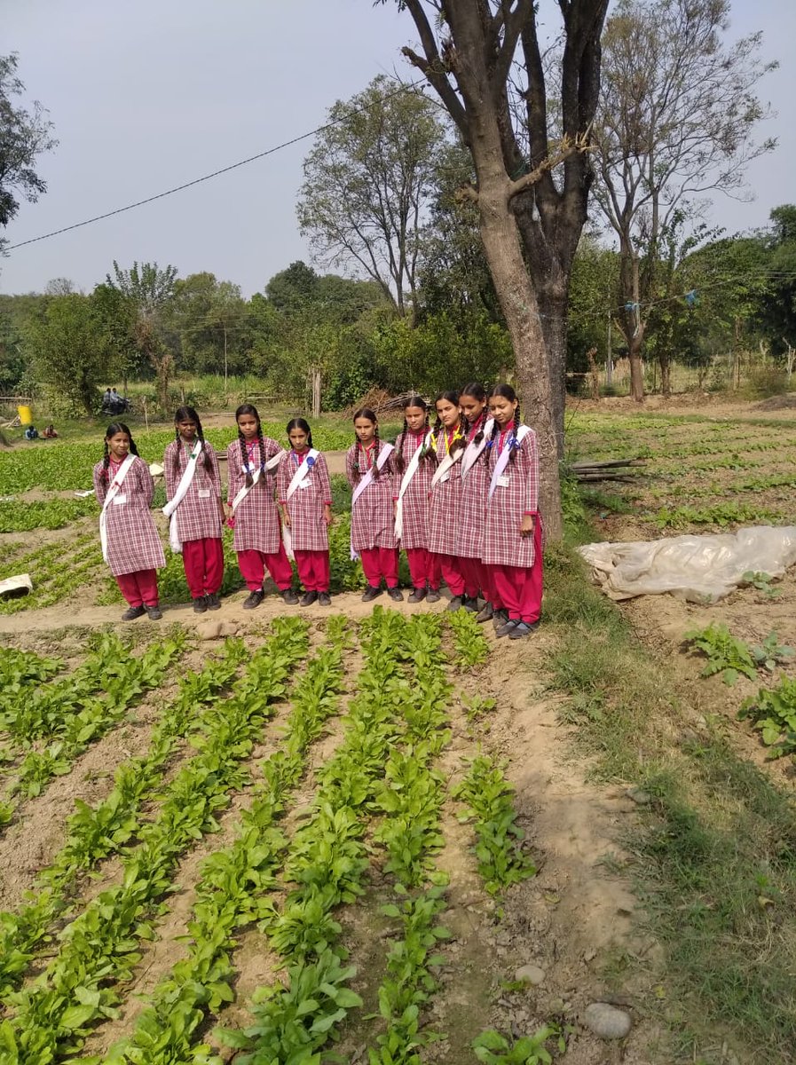 BABLEINDIA's tweet photo. Our team of #NSQF, Himachal Pradesh, has taken a step towards providing practical knowledge to the students of agriculture. They have learned and produced different vegetable in their school premises and utilised it in their mid-day-meal.
@SamagraShiksha 
@NSDCINDIA https://t.co/Hnk2hCEUHt