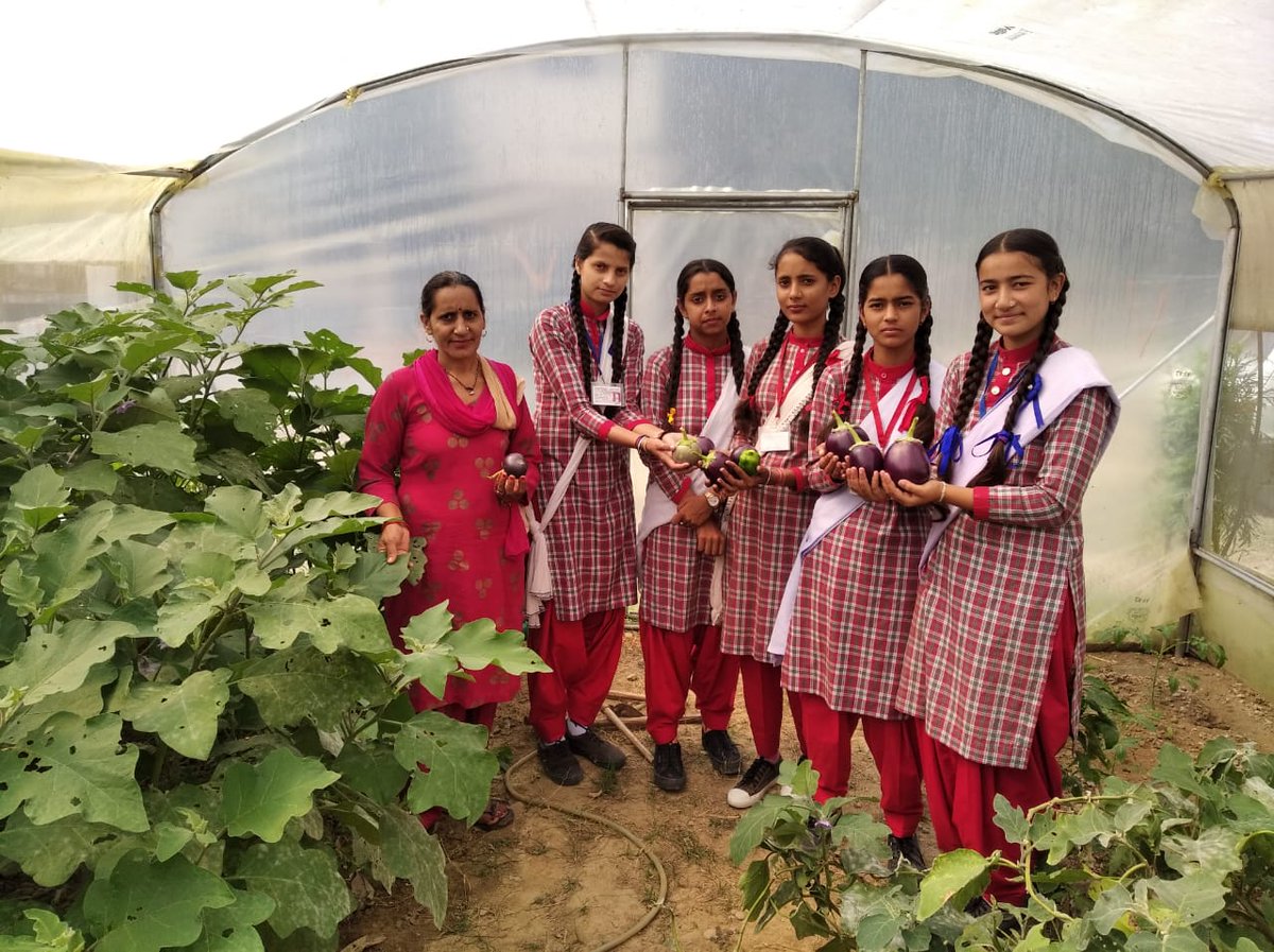 BABLEINDIA's tweet photo. Our team of #NSQF, Himachal Pradesh, has taken a step towards providing practical knowledge to the students of agriculture. They have learned and produced different vegetable in their school premises and utilised it in their mid-day-meal.
@SamagraShiksha 
@NSDCINDIA https://t.co/Hnk2hCEUHt