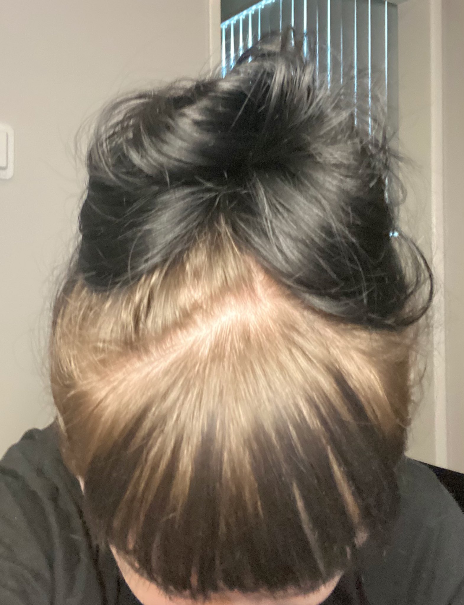 medarbejder Forkæl dig Hælde Rachel Heine on Twitter: "My v light roots are coming in and I wanna play  around with lightening my dyed-dark-for-a-decade hair. At home. Hair  experts: what would you recommend? https://t.co/SnNaZ4KvoD" / Twitter
