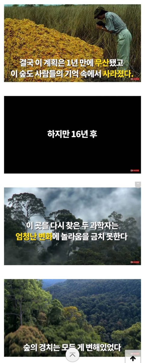 WkfxjfrP's tweet photo. 황무지에 오렌지껍질 12,000톤을 버린 결과 (타래로) https://t.co/VZcUuEU5uP