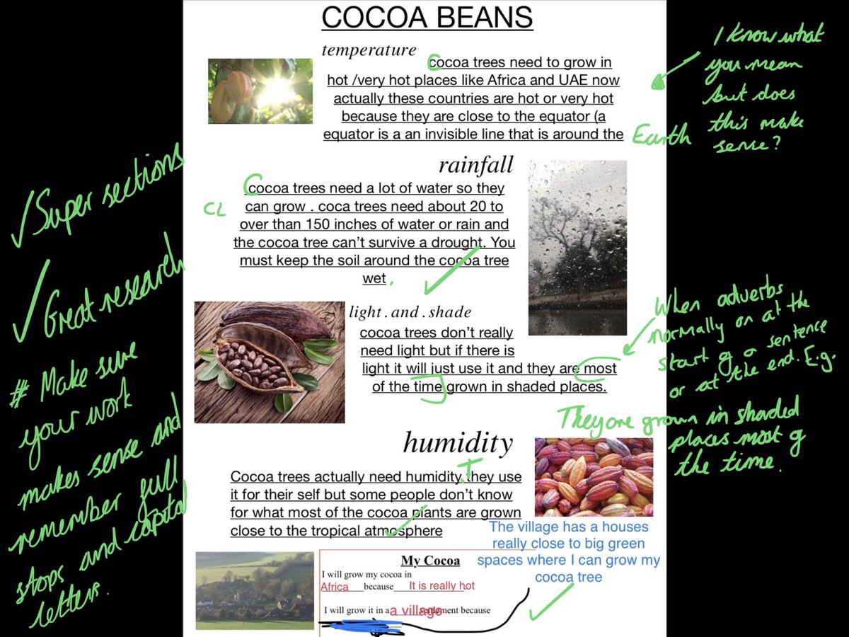 Year 4 | The Arbor School tweet media