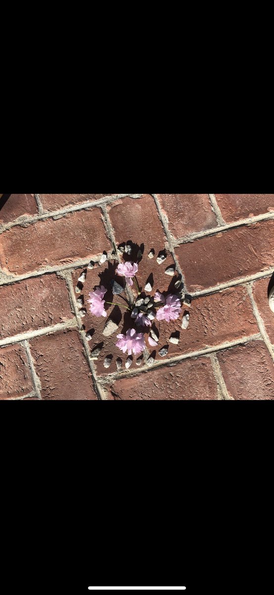 kbishop_ART's tweet photo. Love the mandalas that are being created by using materials from nature - using similar items but the final results are all so different and unique!!#naturemandala #andygoldsworthy #andygoldsworthyinspired @hbschools #EngageHB #HBstrong #WeAreHB https://t.co/VhUYxPgn5q
