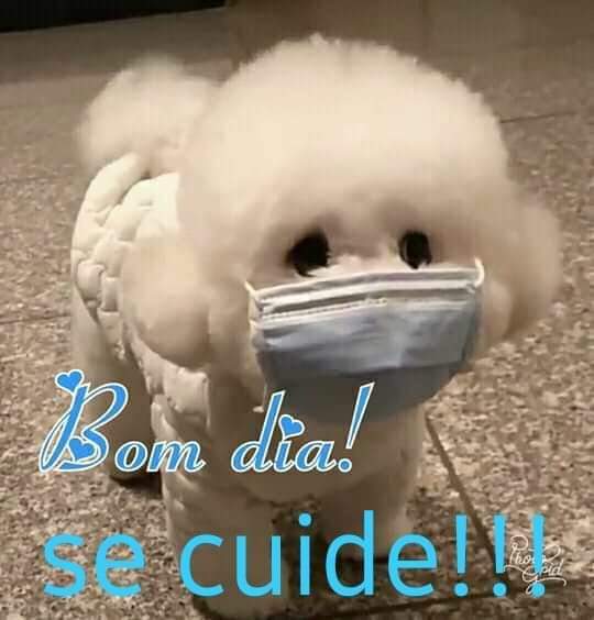 AnyMoreiraOfic's tweet photo. https://t.co/aelNDSqicS