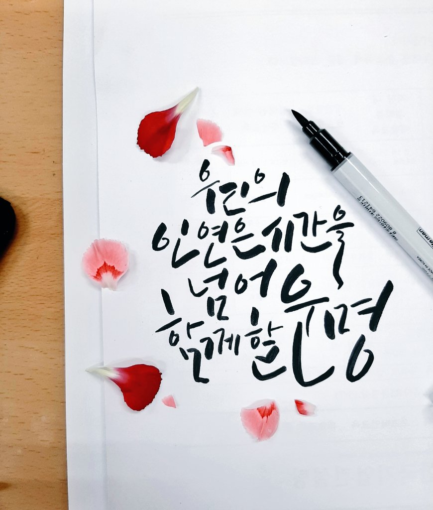 말랭 캘리 tweet media