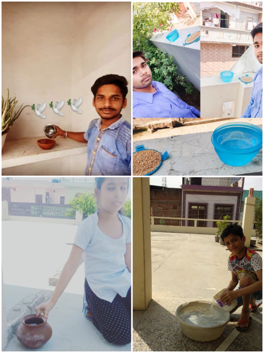STUDENTFORDEVE1's tweet photo. विकासार्थ विद्यार्थी(SFD) इटावा के माध्यम से चलाये जा रहे #selfieWithPareenda अभियान के तहत निम्न कार्यकर्ताओं व छात्रों ने भीषण गर्मी में पक्षियों के लिए दाना व पानी रखा
आप सभी से भी निवेदन है आप भी दाना व पानी अवश्य रखें।
#selfieWithPareenda
@ABVPVoice @ABVPKANPUR @AbvpEtawah https://t.co/PlnDGYK7rn