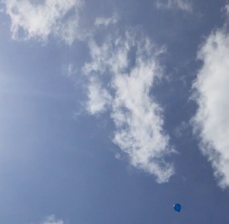 finelinehxrry_'s tweet photo. okay okay so idk if its just me but pls someone help i swear this cloud looks just like corey. this is a screenshot from my balloon release video 🥺 https://t.co/xSymPXn6tU